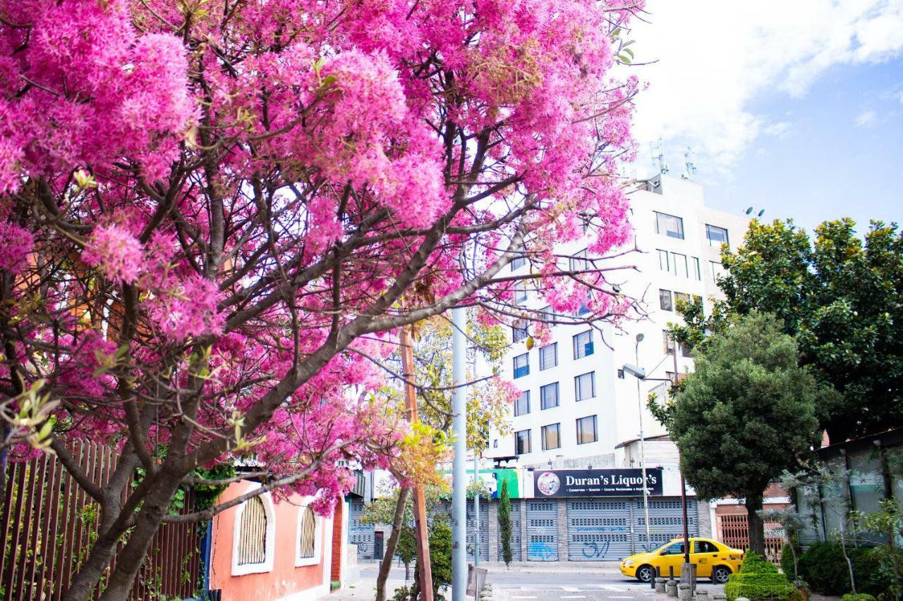 Hostal Loro Verde 키토 외부 사진